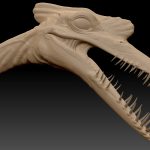Head_sculpt